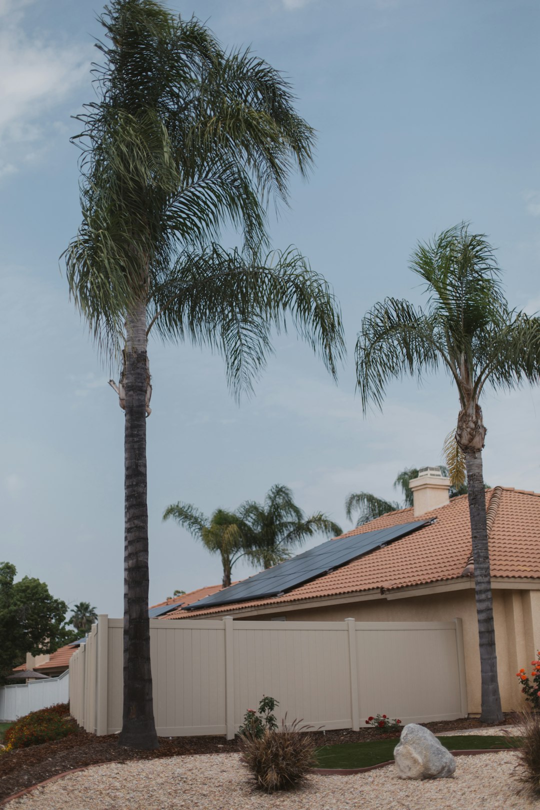 Vivint Solar - Solar Panels on terra cotta roof with palm trees in a tropical paradise like Florida, California, or Hawaii.